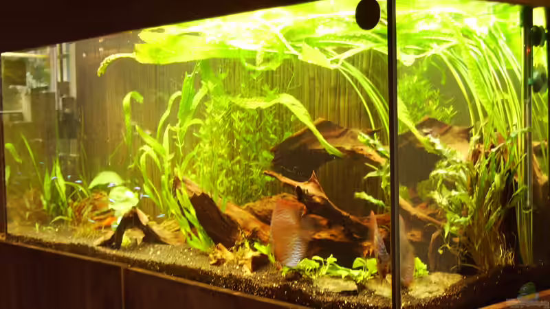 von rechts von Sebastian Sander (6)