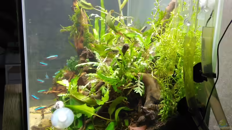 von rechts von Shiro13 (11)