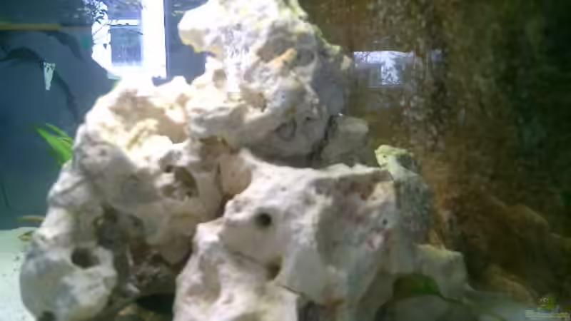 von rechts von vizekoenich (3)