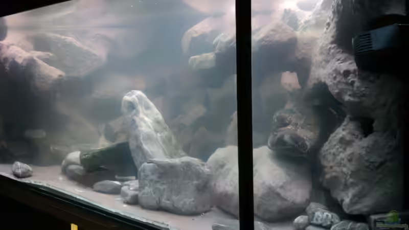 von rechts von wadde (38)