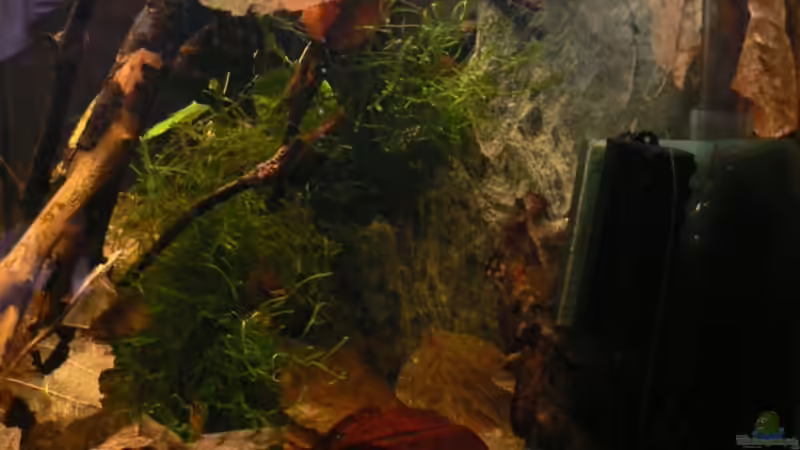 von rechts von Zapfenmanderl (4)