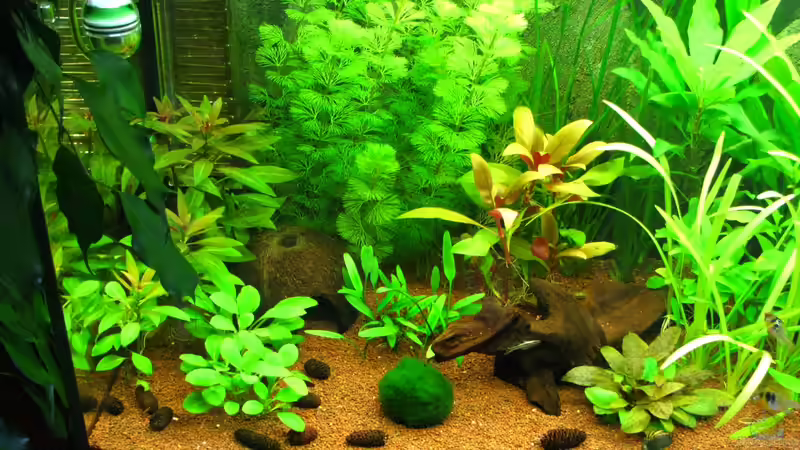 Von schräg oben linke Seite von matze81 (10)