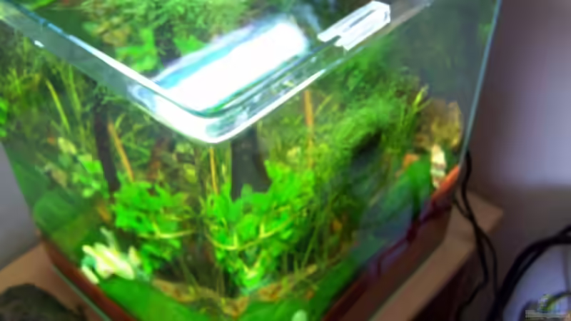 Von schräg oben von Dani B (5)