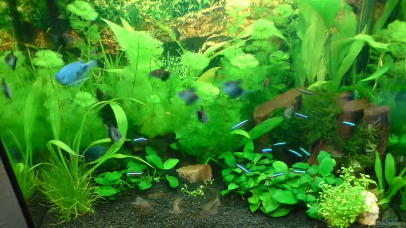 von schräg oben von Oliver Kemna (4)