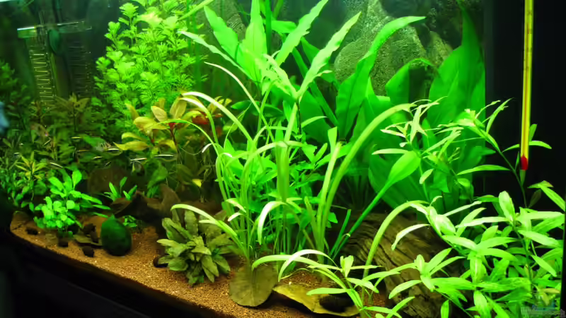 von schräg rechts von matze81 (12)