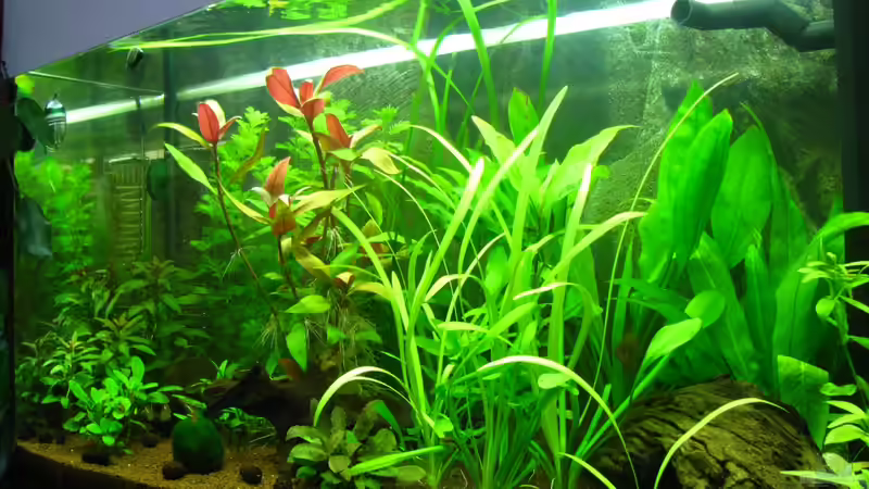 Von schräg rechts von matze81 (9)