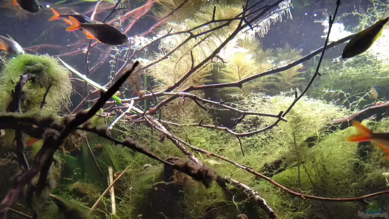 Von unten nach oben  von SaMü (13)