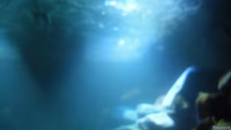 Von unten nach Oben von Vision (6)