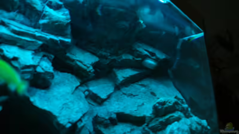 von unten nach rechts oben  von Frank Wollenburg (12)