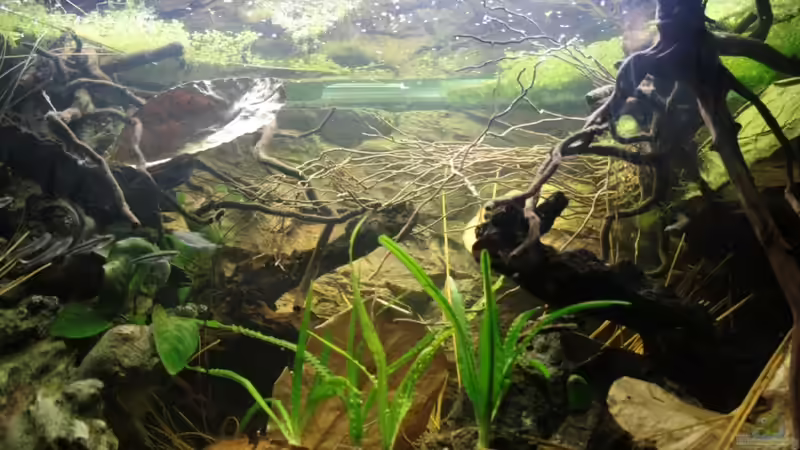 Von unten sehr schräg nach oben fotografiert ! von Florian Bandhauer (19)