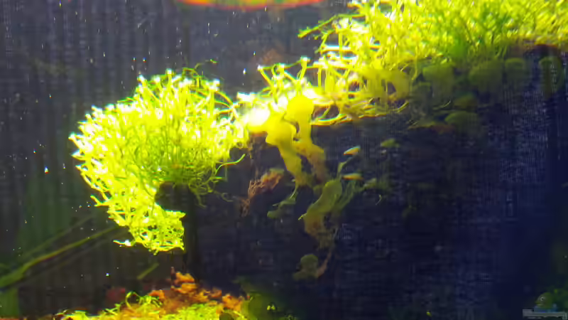 Von unten von Rabunz3l (11)