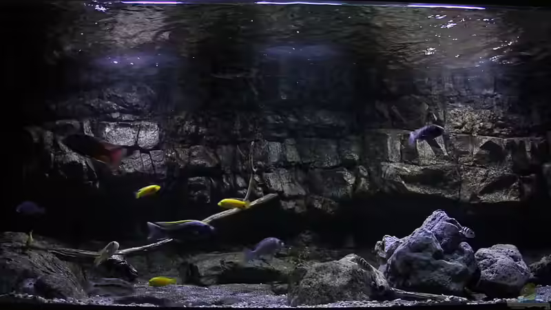 von unten von Sebastian O. (7)