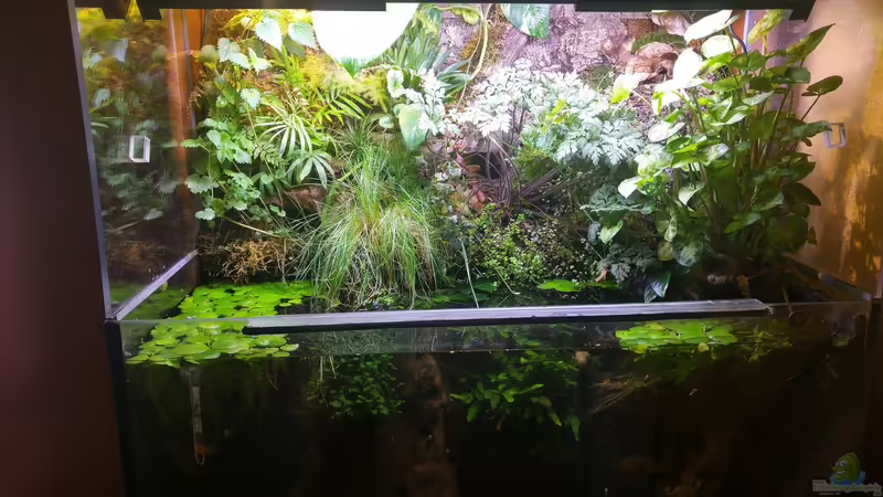 von vorn... von Tino Georgi (1)