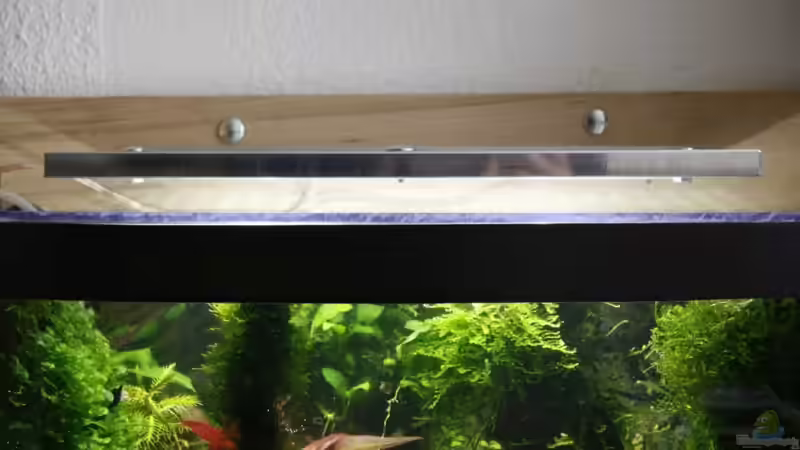 von vorn 05/11 von Ralf64 (43)