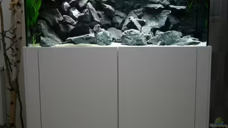 von Vorn von Manfred B. (2)