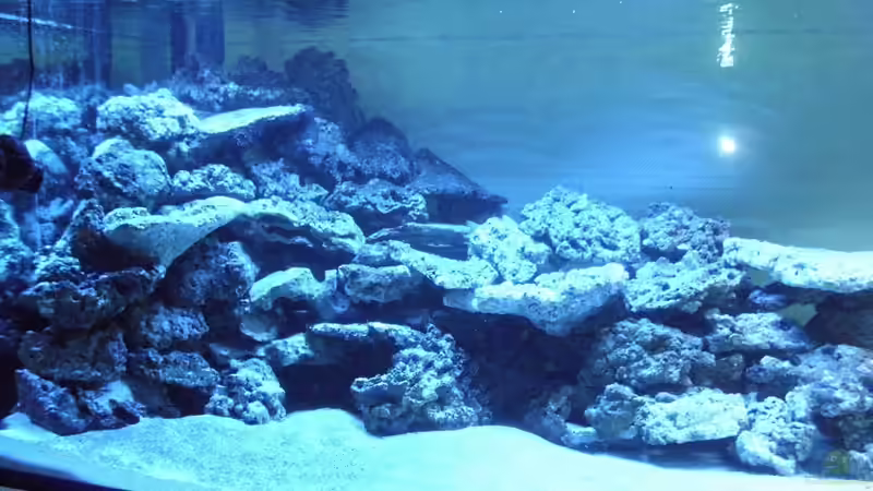 Von Vorne die linke Seite von mr.boomBASCHTIc (5)