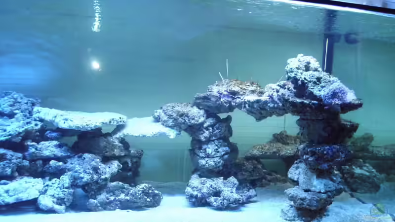 Von Vorne die rechte Seite von mr.boomBASCHTIc (6)