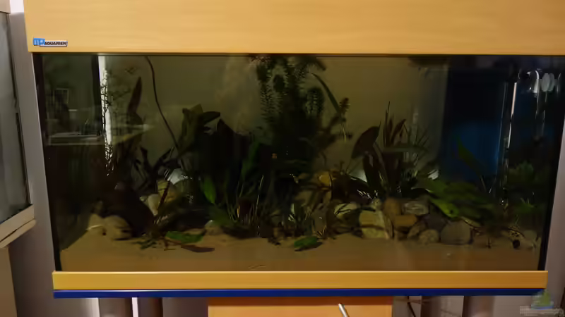 von vorne ohne Licht ... von NOWI1976 (9)