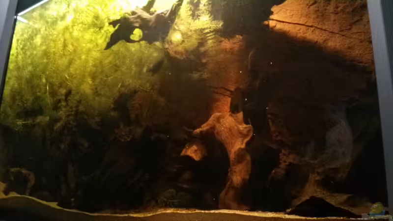 Von Vorne von AquaTobi90 (26)