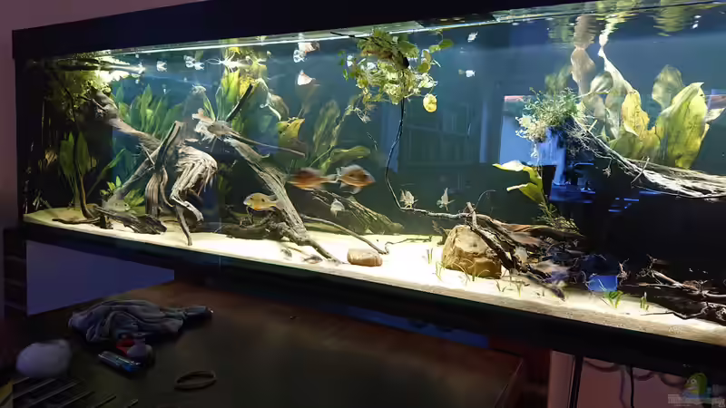 von Vorne von DennisTheMenis (3)