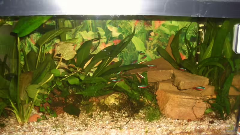 von Vorne von Hans Holten (1)