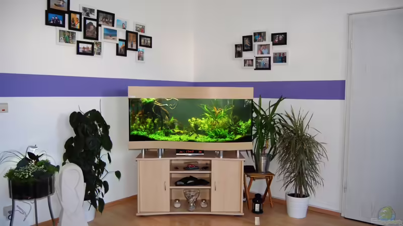 von vorne von Michael Seraph (9)