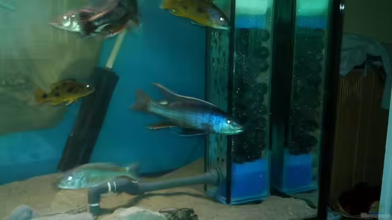 von Vorne von Ronny Laumer (16)