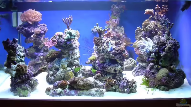 von vorne von Uwe Kerßenfischer (6)