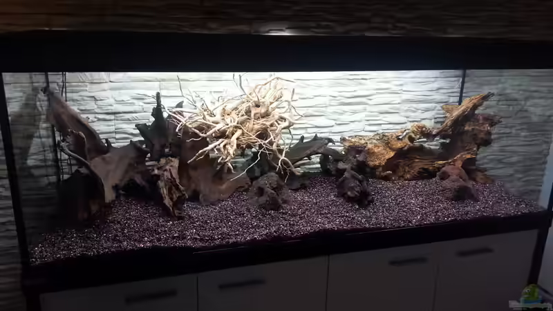 vor befüllung..... von Malte Hübner (3)