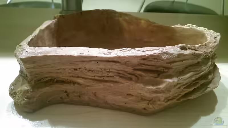 Vor dem Befüllen,eigentlich ein Wasserbecken aus der Terraristik.. von Ottche (128)