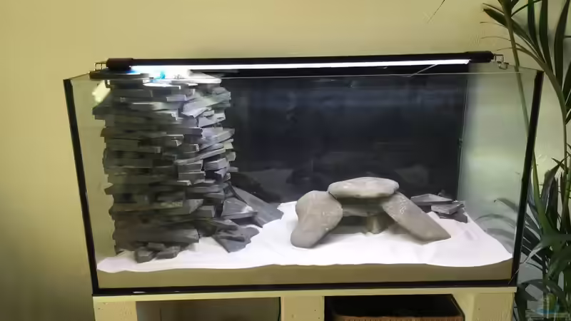 vor dem Befüllen von stroelly (3)