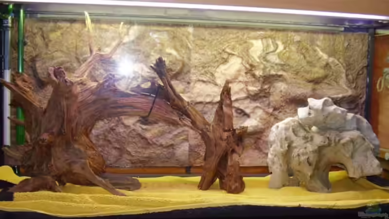 Vor dem Einlass Mai 2007 von Wels-fan (4)