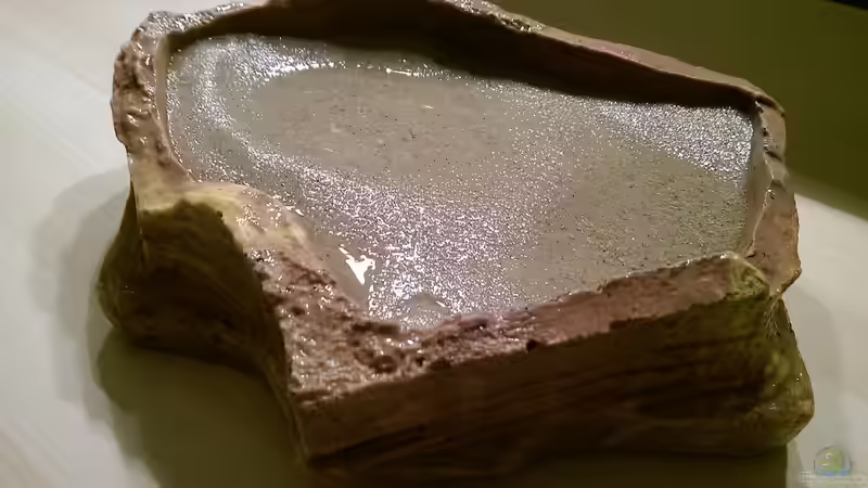 Vor dem Einsetzen ins Becken von Ottche (129)