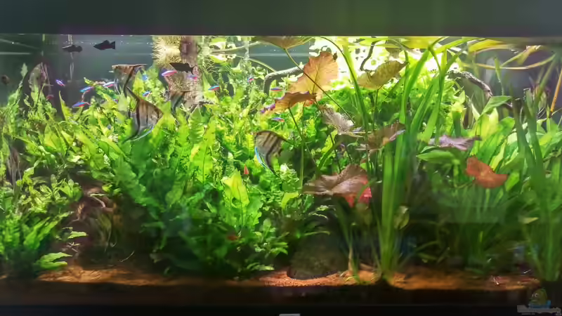 Vor dem gärtnern  von Ralf Bercke (18)