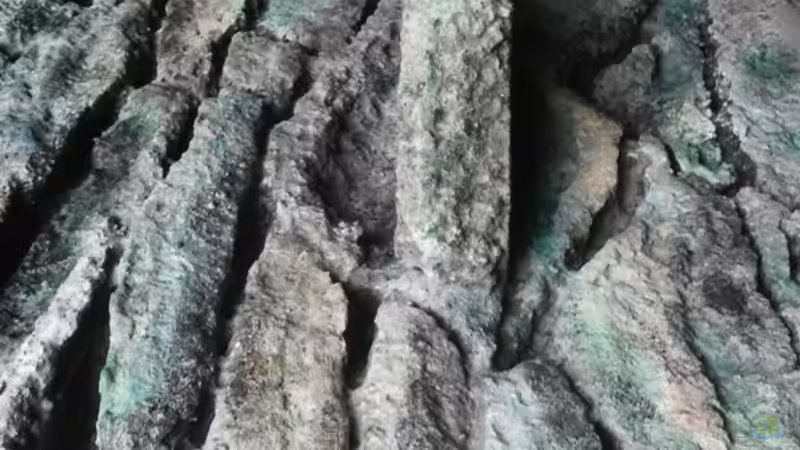 Vor dem letzten Farbauftrag von Copplepot Lord (17)