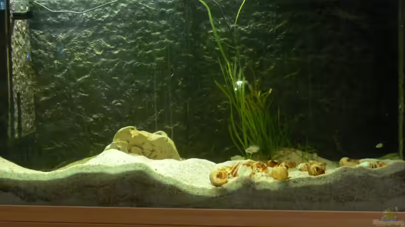 vor dem neubeginn von DominikZ (2)