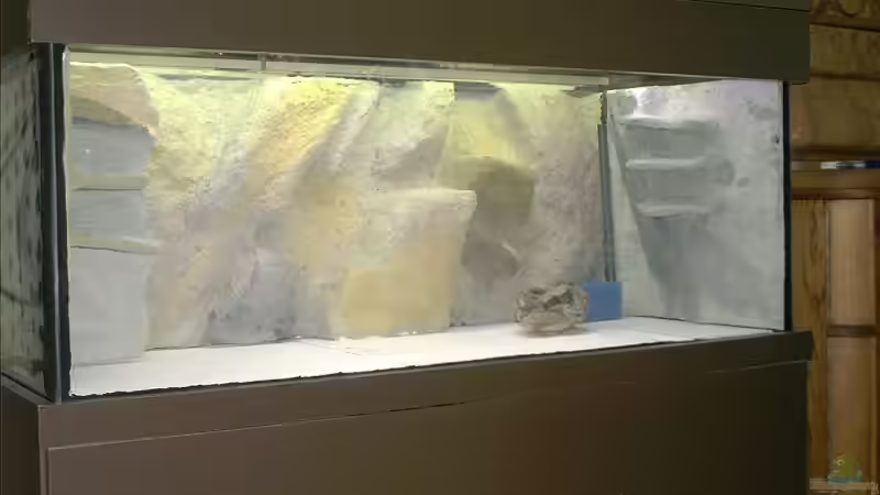 Vor dem Streichen mit 2 Komponentenharz von Yvonne-Alison De Bruijne (5)