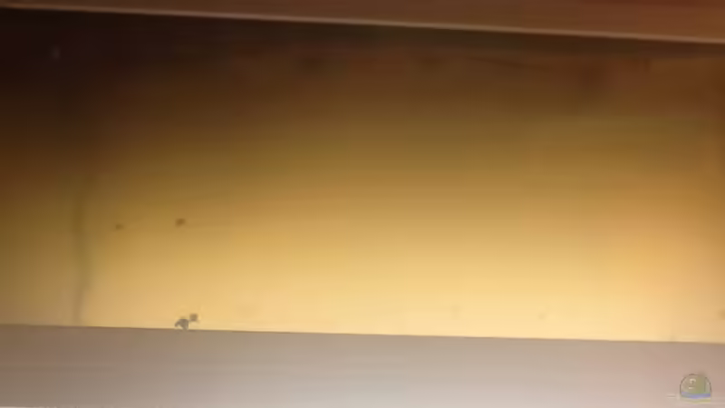 Vor dem umbau  von Olli Nano (5)