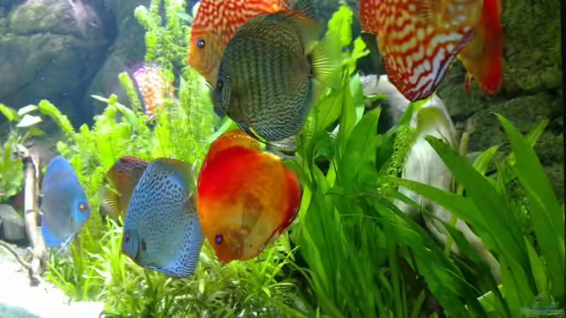 vor dem umbau Jan 2011 von Matze 87 (13)