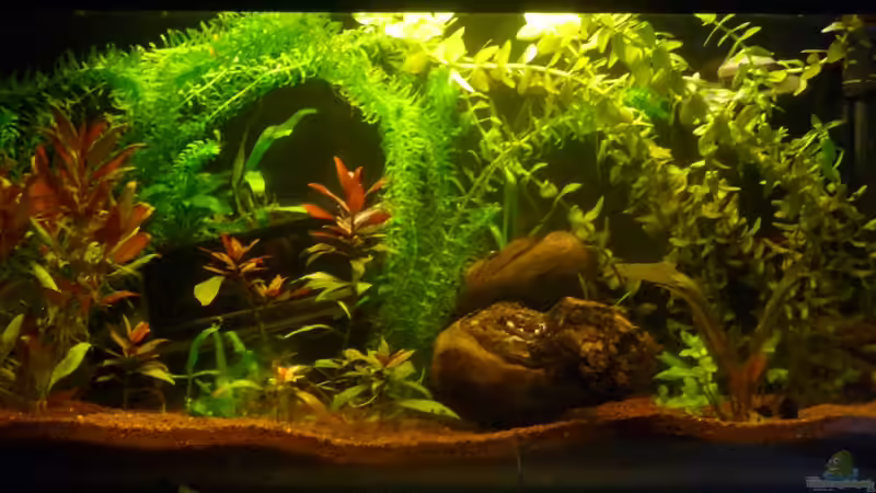 Vor dem Umbau von _ME_ (4)