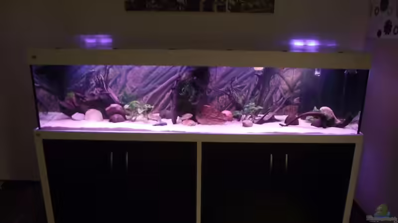 Vor dem Umbau von Dr. Manhattan (2)