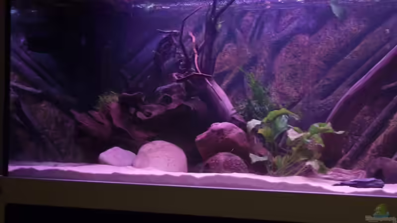 Vor dem Umbau von Dr. Manhattan (25)