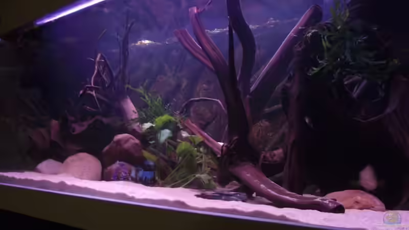 Vor dem Umbau von Dr. Manhattan (28)