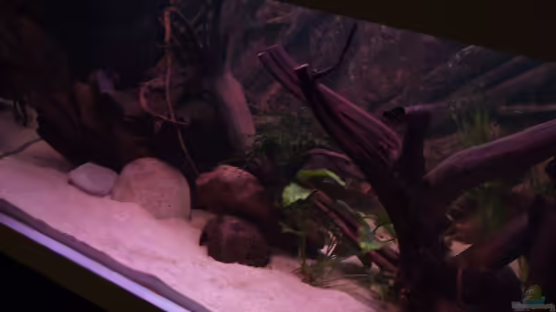 Vor dem Umbau von Dr. Manhattan (29)