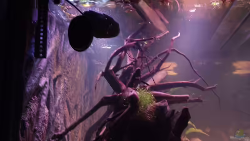 Vor dem Umbau von Dr. Manhattan (4)