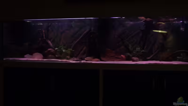 Vor dem Umbau von Dr. Manhattan (5)