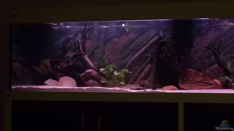 Vor dem Umbau von Dr. Manhattan (6)