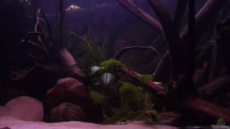 Vor dem Umbau von Dr. Manhattan (7)