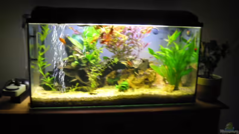 vor dem Umbau von Frank Eichhorn (2)