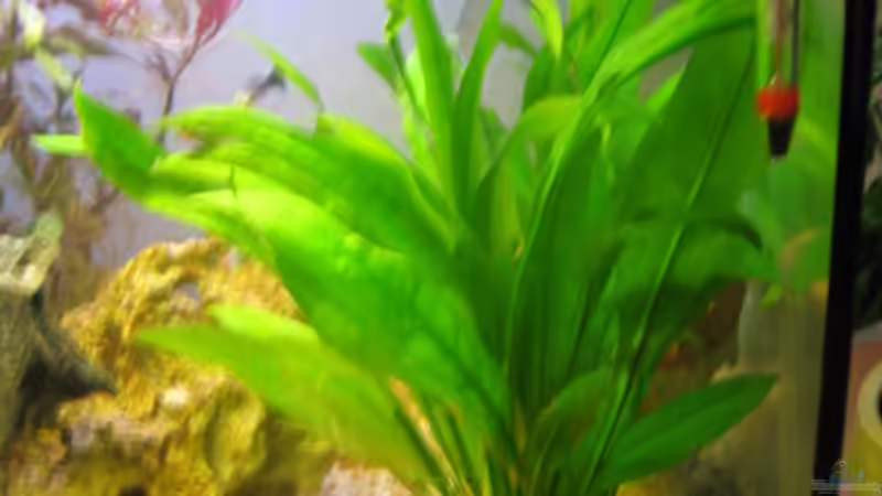 vor dem Umbau von Frank Eichhorn (5)